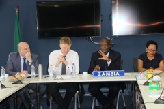 GRZ-CPG LIAISON MEETING - WORLD BANK OFFICES - LUSAKA (11)