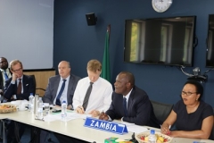 GRZ-CPG LIAISON MEETING - WORLD BANK OFFICES - LUSAKA (16)